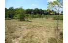 Property photo 1 - 75.5 Acres Offered in 5 Tracts